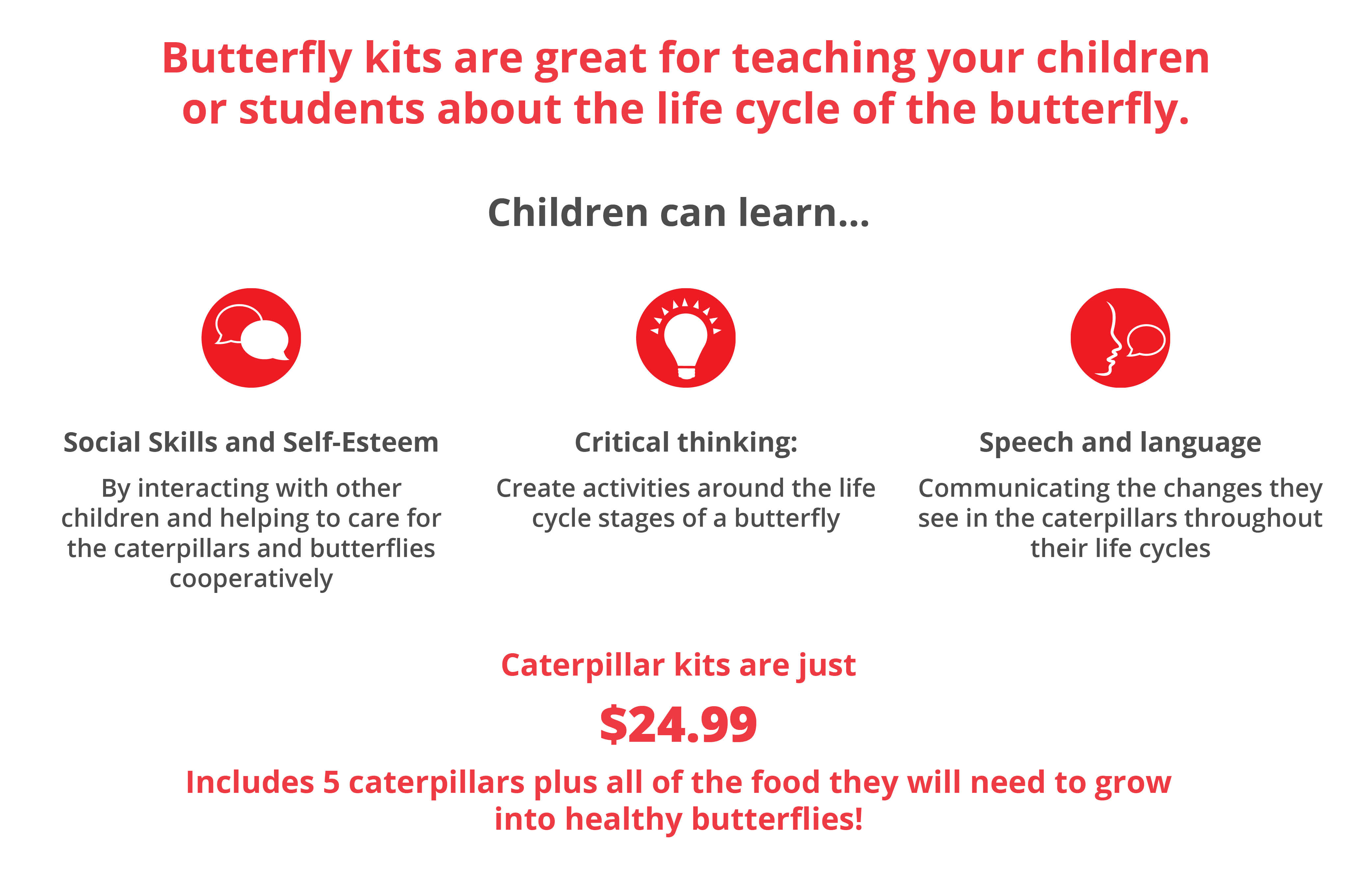 butterflies-page-info-v2 butterflies-page-info-v2