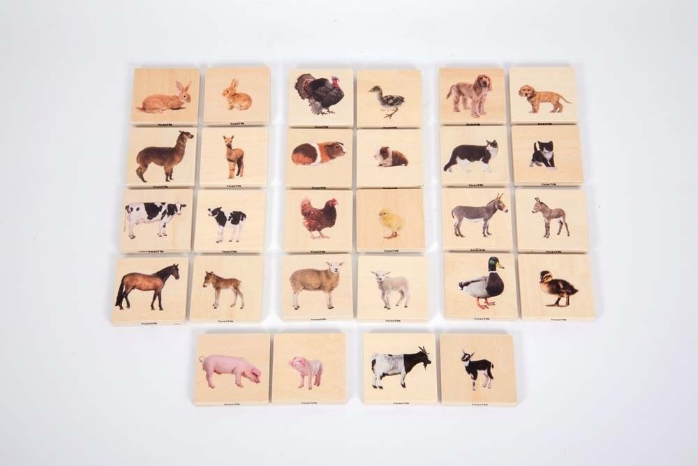 Domestic-Animal-Family-Match-196-73406