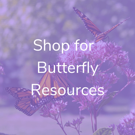 Download Butterfly Activities (1)