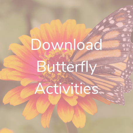 Download Butterfly Activities
