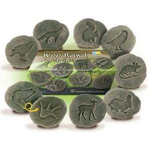 Woodland-Footprints-Stones-112-YUS1072