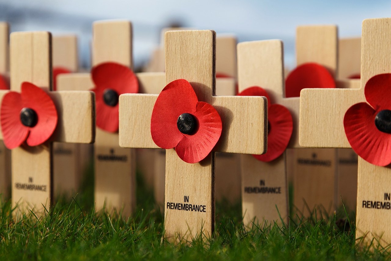 Remembrance Day Activities for Every Grade