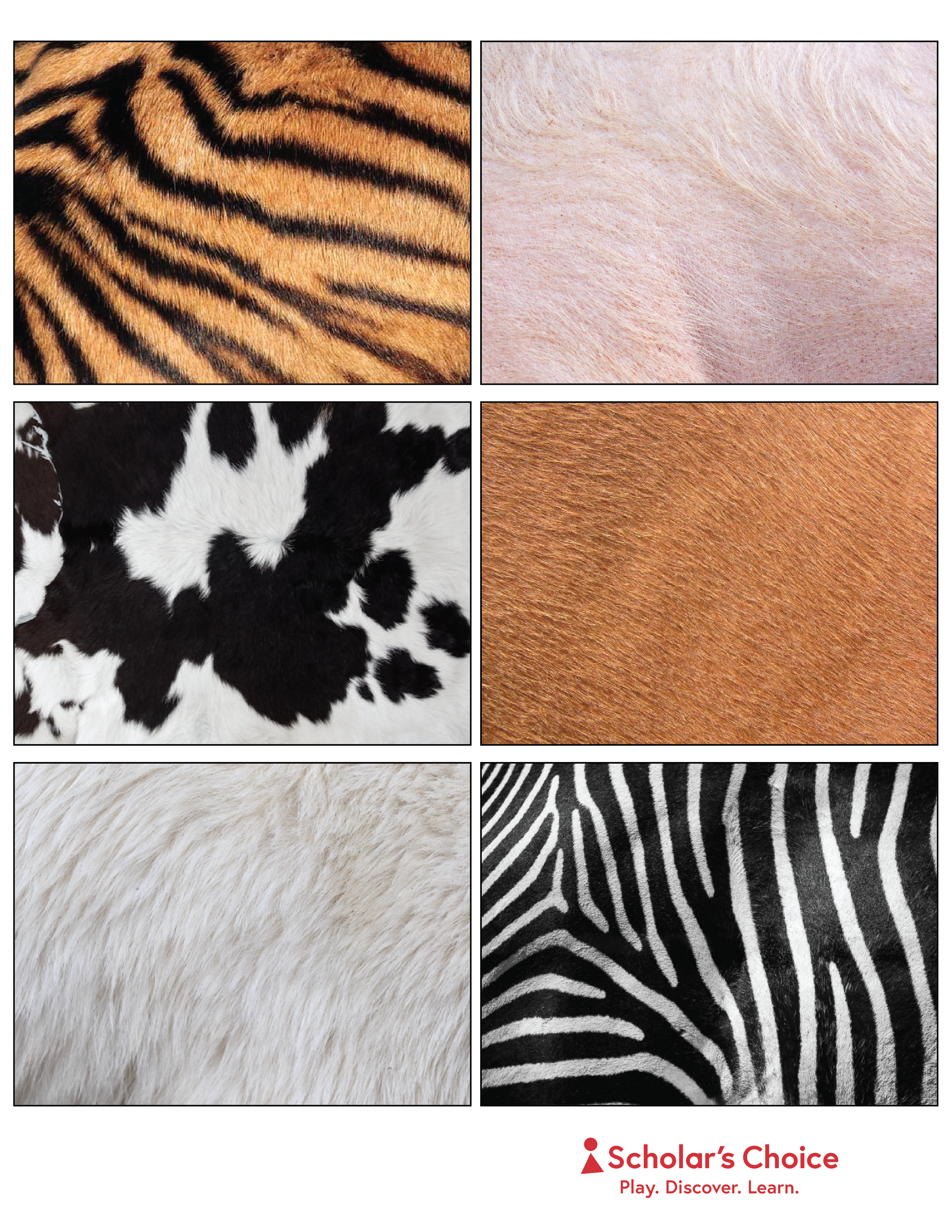 animal-pattern-match_match