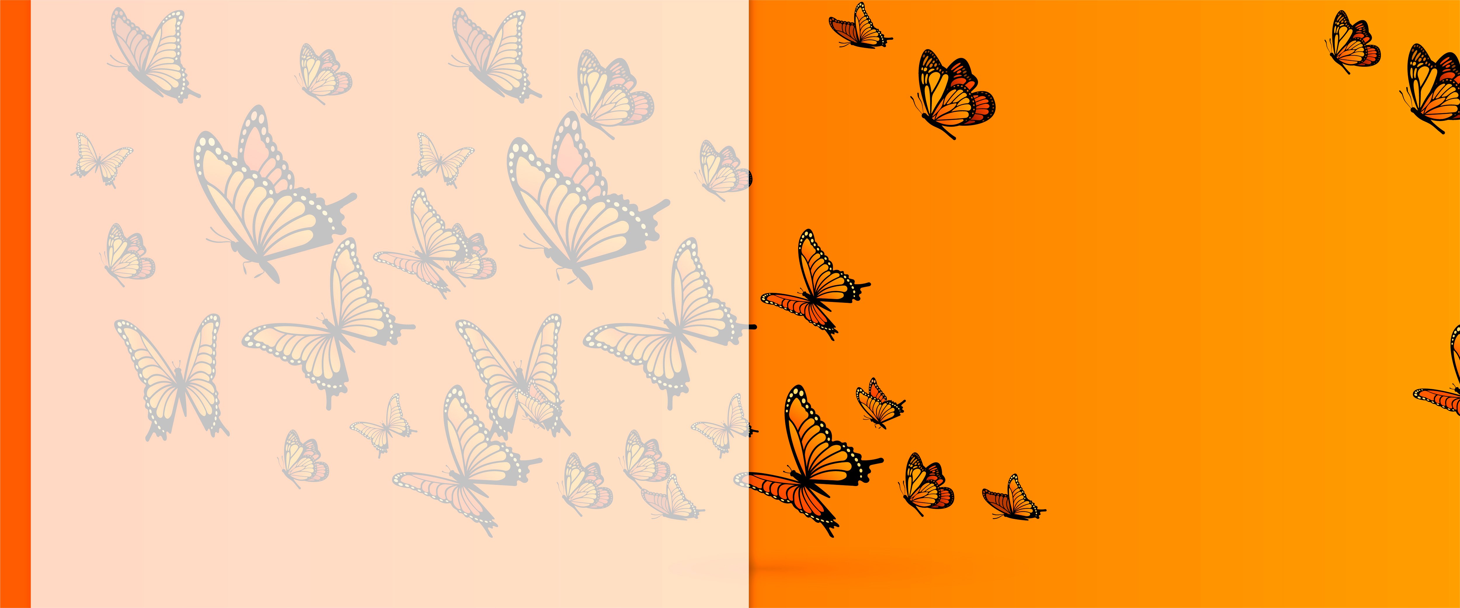 butterflies-v3-01-1