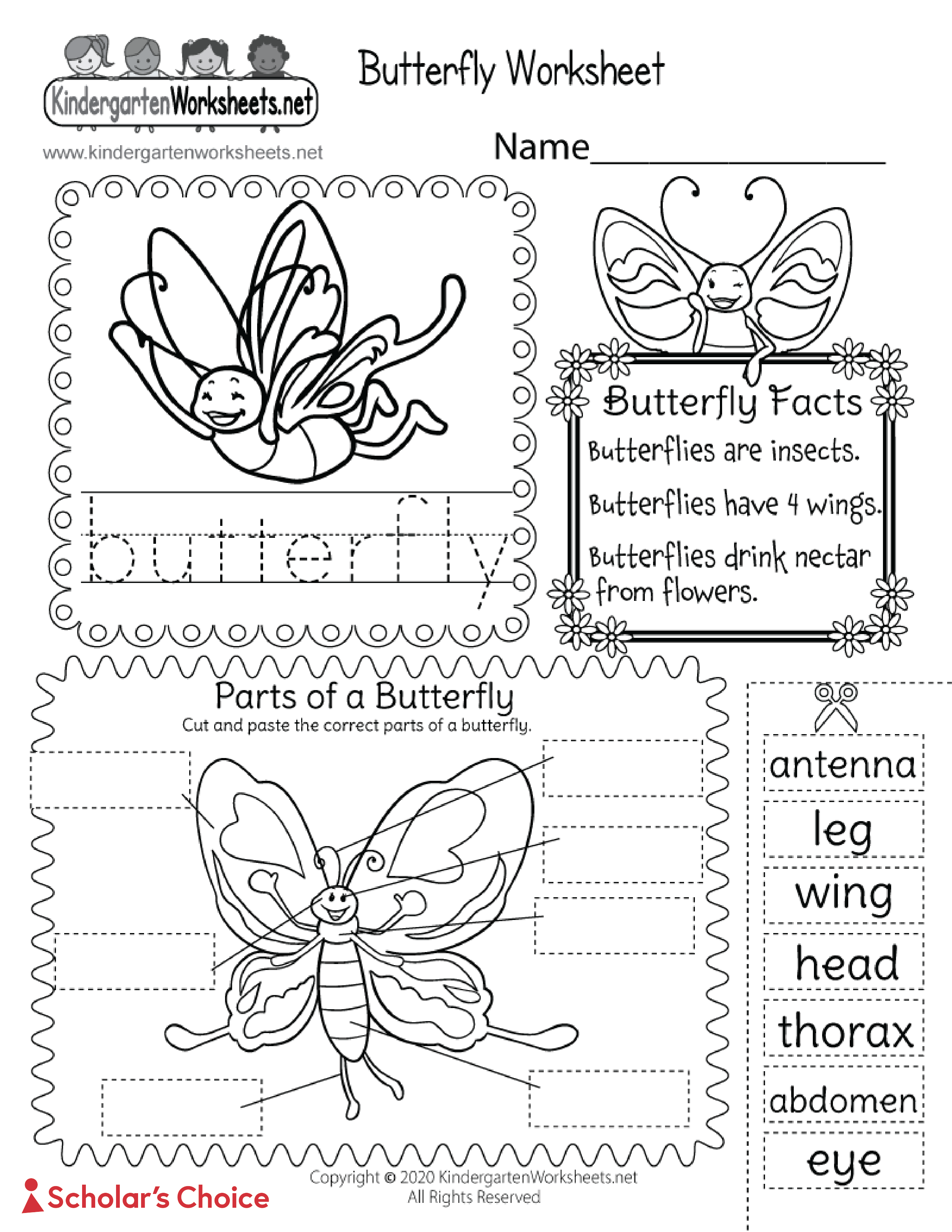 butterfly-activities-10