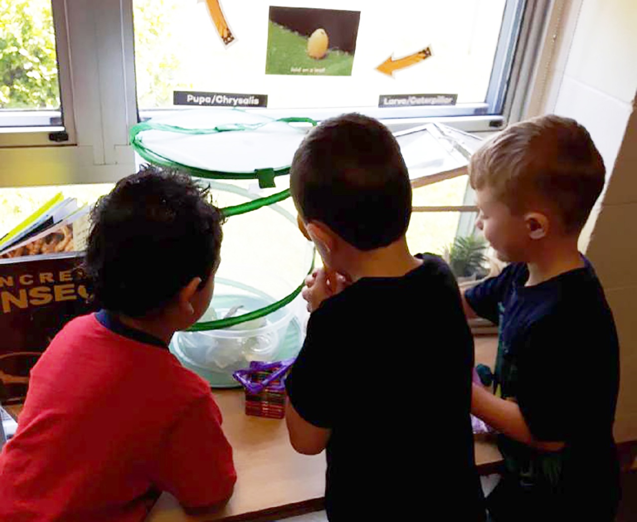 5 Tips For A Beautiful Spring Celebration In Your Classroom This Year